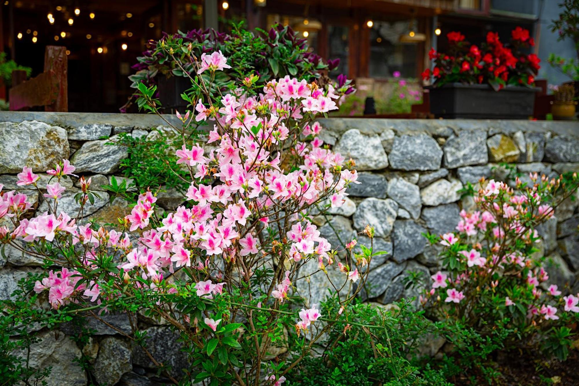 Legend Home Sapa Exterior photo