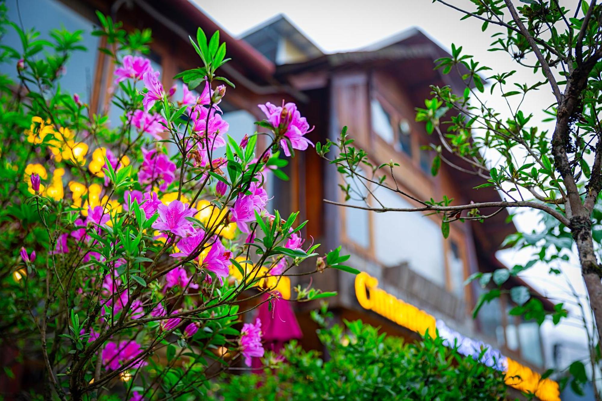Legend Home Sapa Exterior photo
