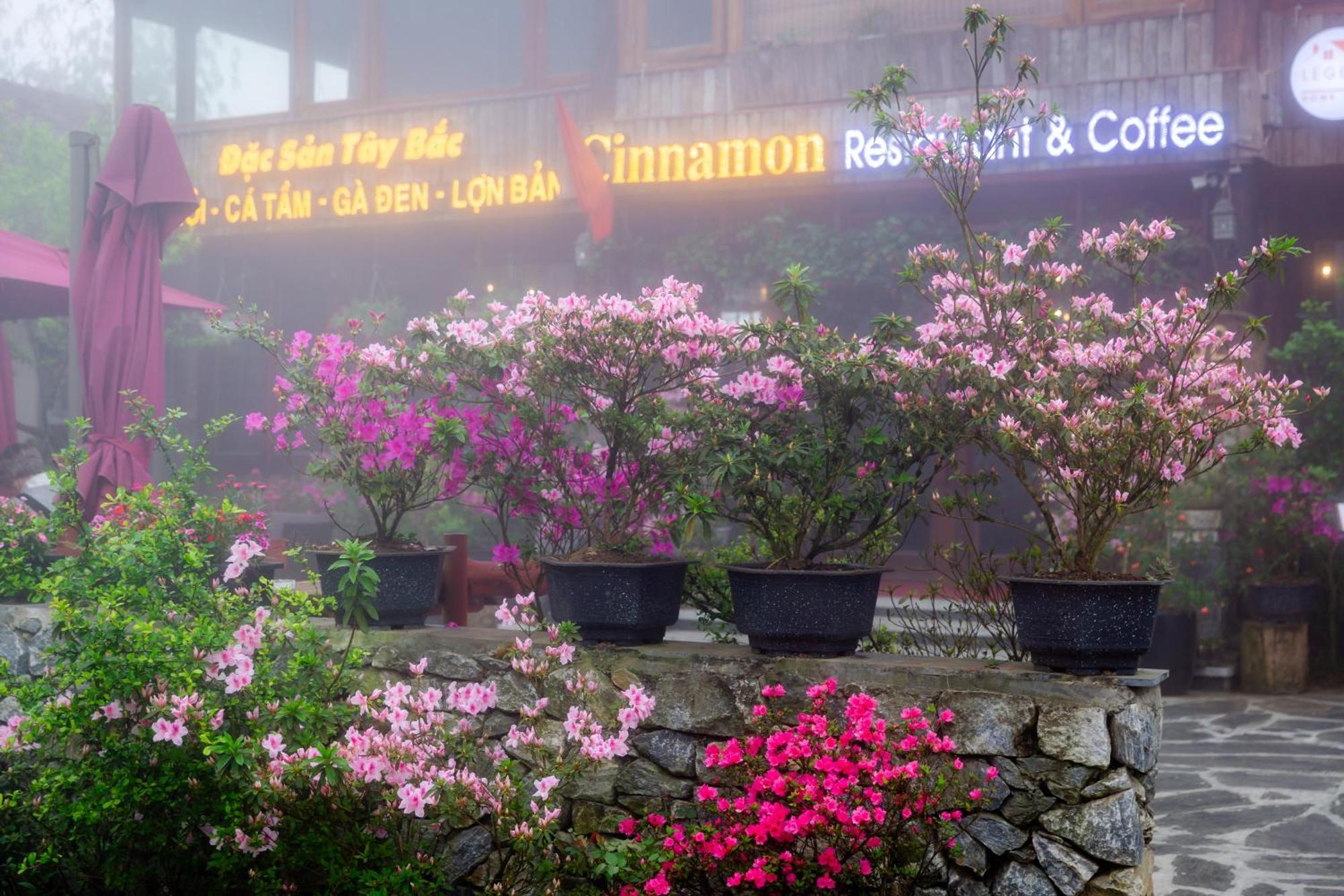 Legend Home Sapa Exterior photo