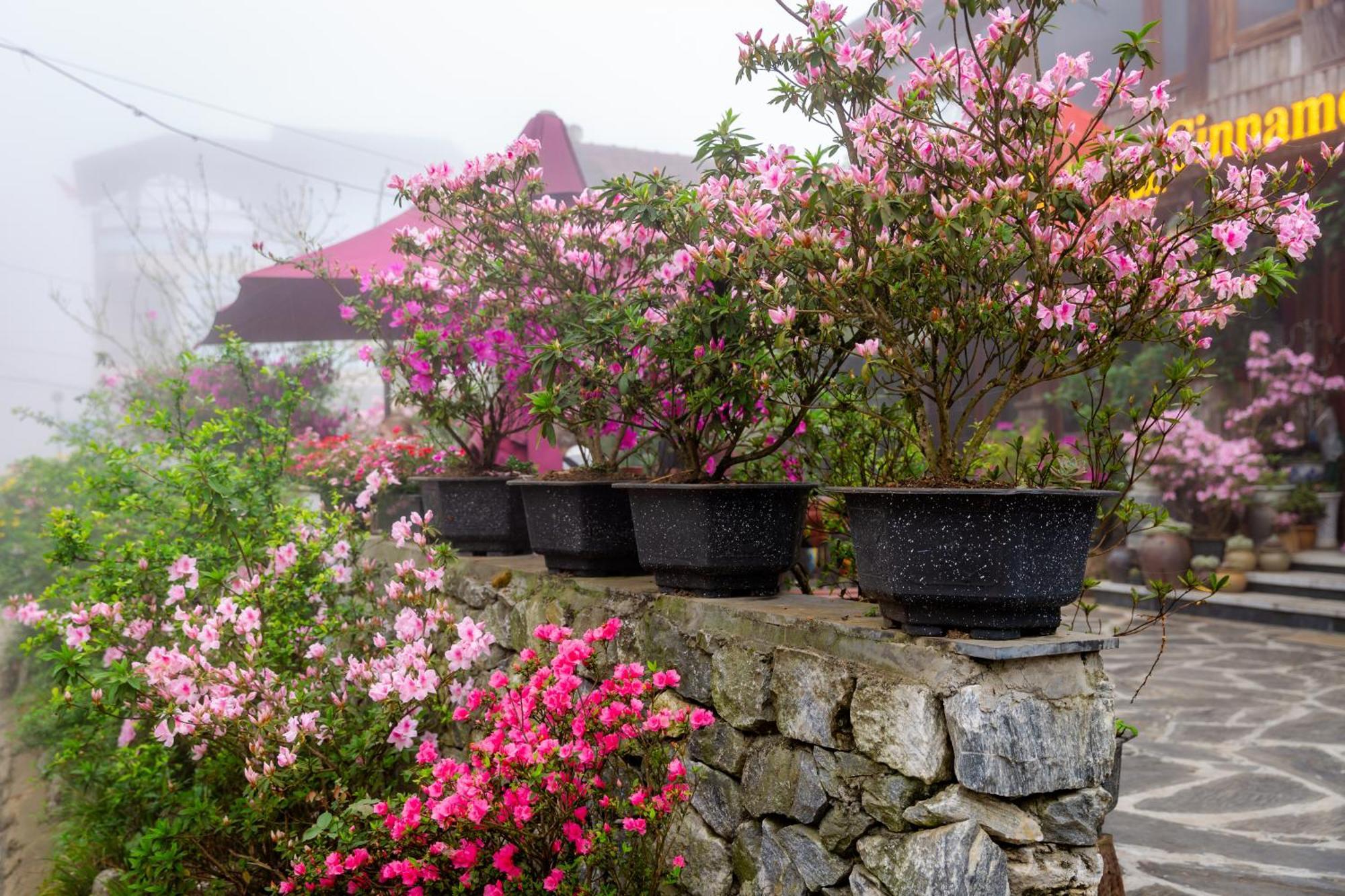 Legend Home Sapa Exterior photo