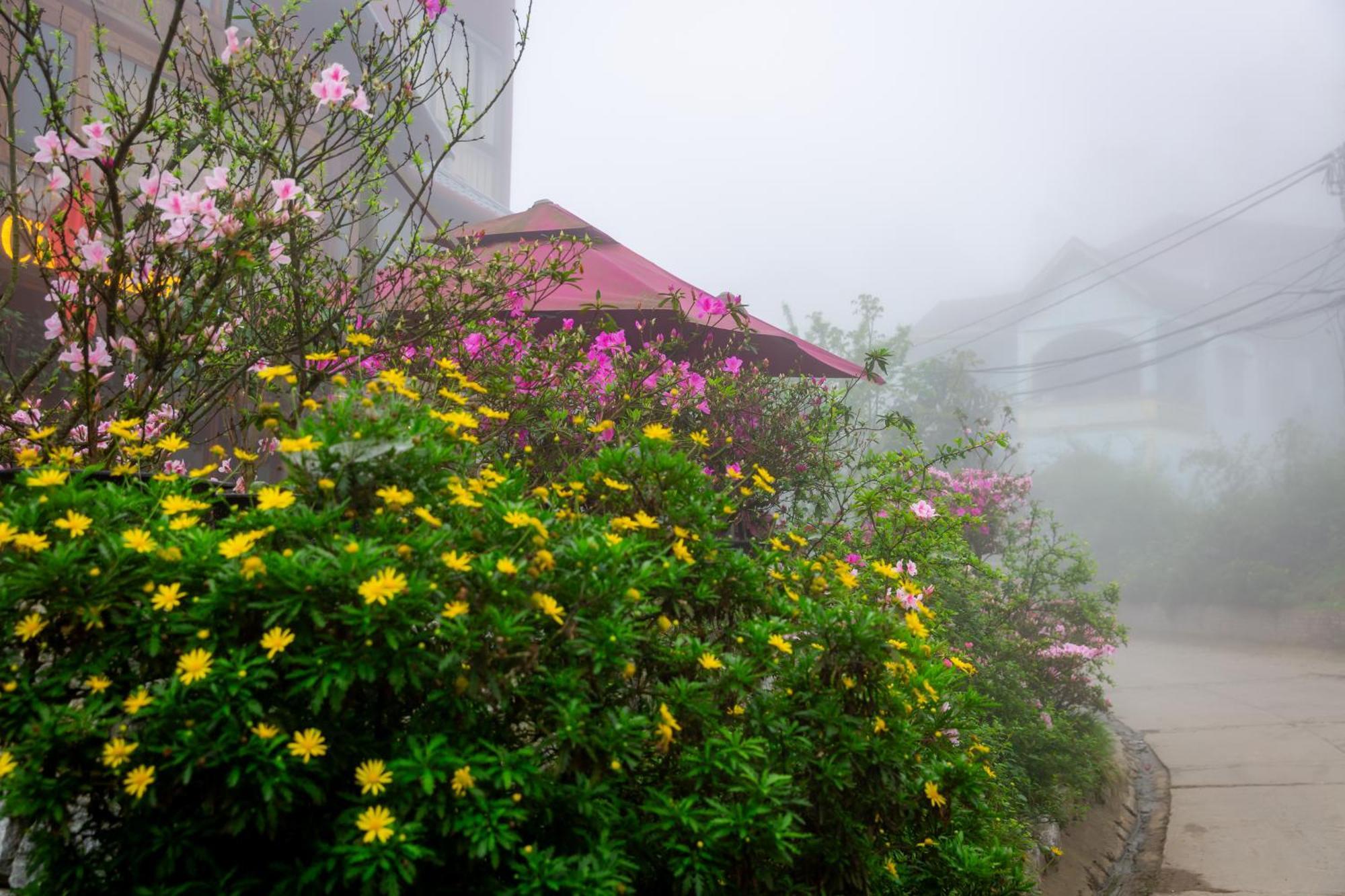 Legend Home Sapa Exterior photo